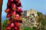 Tropea prodotti tipici la cipolla