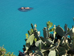 Capo Vaticano