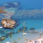 appartamenti tropea