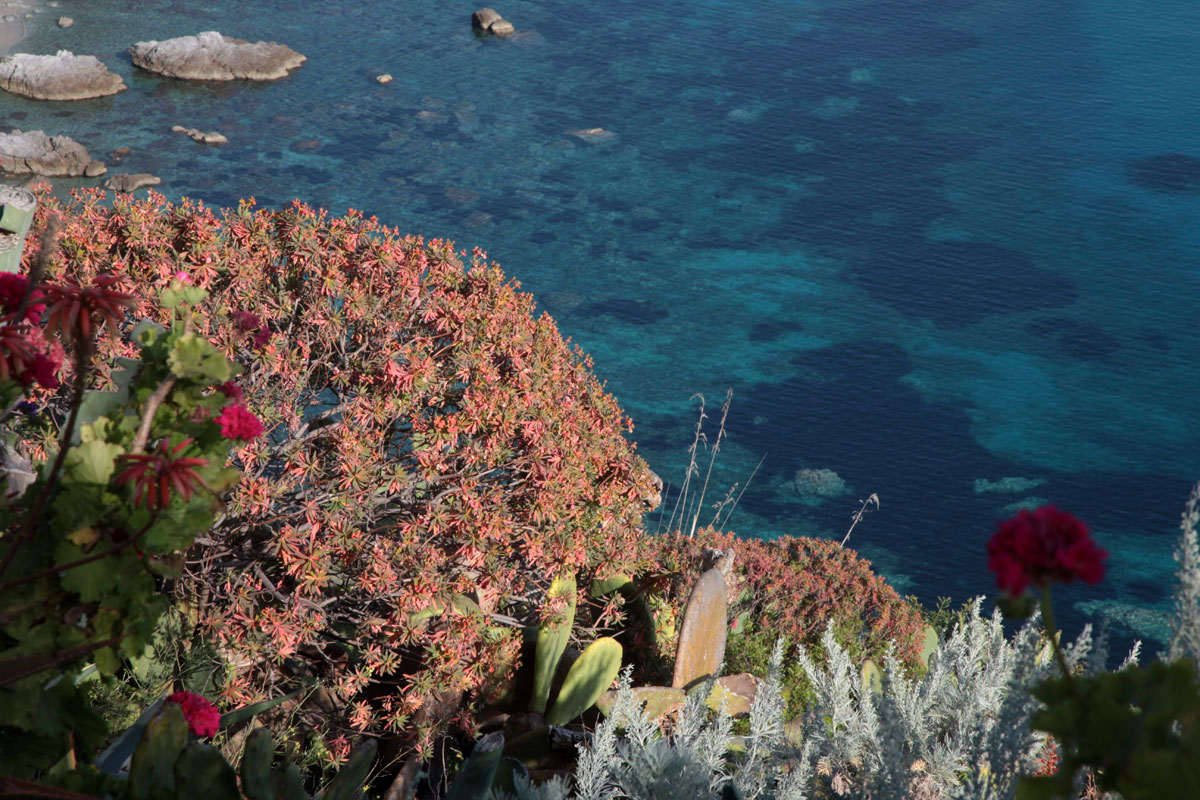 Capo Vaticano