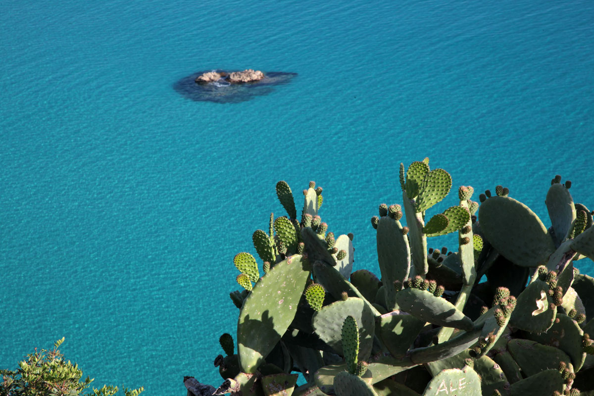 Costa Capo Vaticano