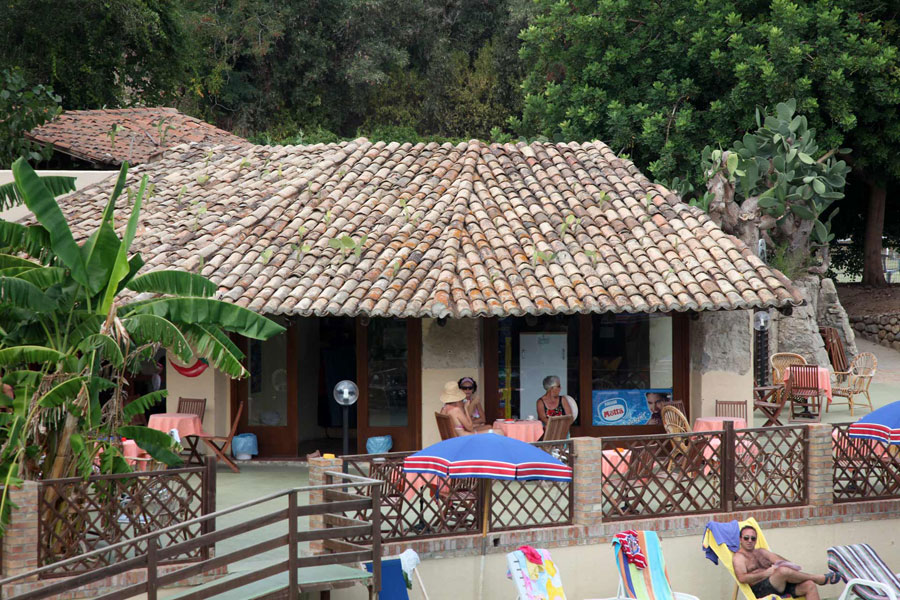 bar-piscina